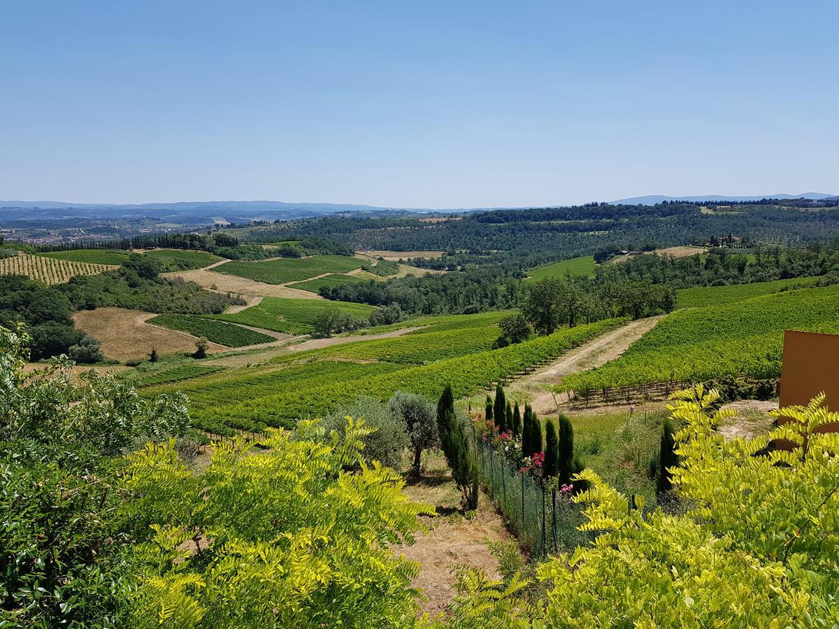 Il Leccio - Casa Toscana San Gimignano Gambassi Terme Ngoại thất bức ảnh